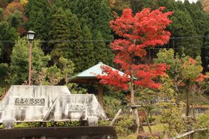 糸井渓谷の紅葉 但馬の情報発信ポータルサイト 但馬情報特急 糸井渓谷の紅葉 但馬の情報発信ポータルサイト 但馬情報特急