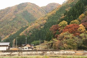 糸井渓谷の紅葉 但馬の情報発信ポータルサイト 但馬情報特急