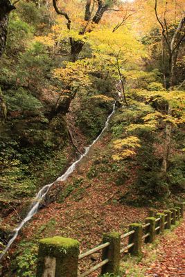 糸井渓谷の紅葉 但馬の情報発信ポータルサイト 但馬情報特急 糸井渓谷の紅葉 但馬の情報発信ポータルサイト 但馬情報特急
