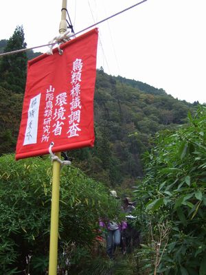 70以上 かすみ網 4912 かすみ網 作り方 70以上 かすみ網 4912 かすみ網 作り方