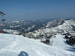 北 スキー 場 高原 ハチ