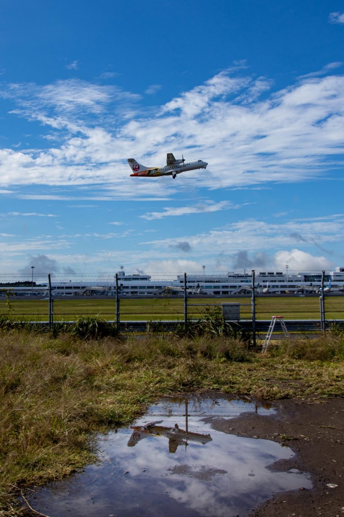 コウノトリ但馬空港2019 コウノトリ号フォトコンテストの結果が発表 但馬の情報発信ポータルサイト 但馬情報特急 コウノトリ但馬空港2019 コウノトリ号フォトコンテストの結果が発表 但馬の情報発信ポータルサイト 但馬情報特急