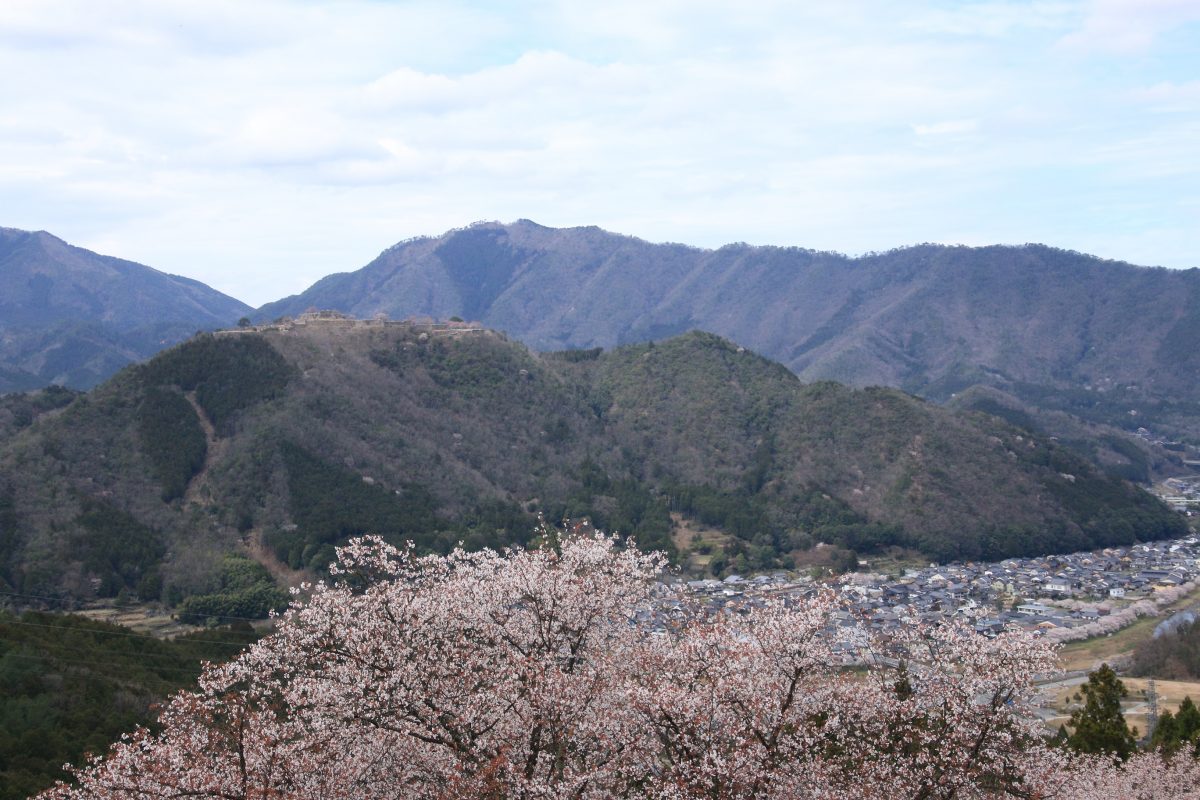立雲峡のさくら 但馬の情報発信ポータルサイト 但馬情報特急