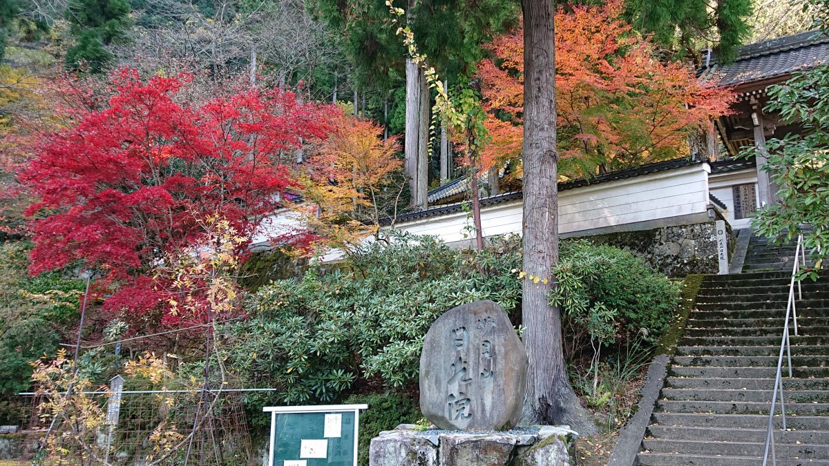 但馬紅葉だより 見ごろを迎えた日光院 青谿書院を訪ねて 但馬の情報発信ポータルサイト 但馬情報特急 但馬紅葉だより 見ごろを迎えた日光院 青谿書院を訪ねて 但馬の情報発信ポータルサイト 但馬情報特急