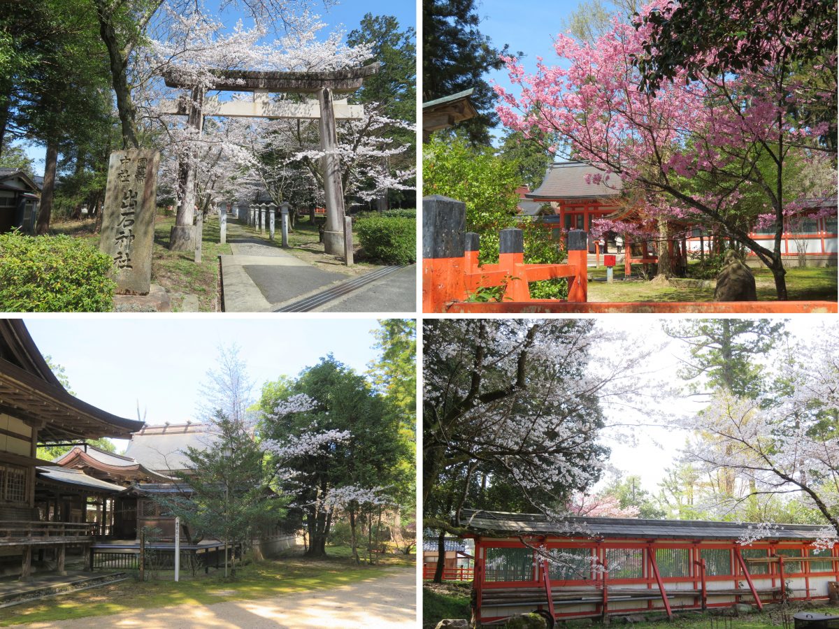 出石と桜は和する 但馬の情報発信ポータルサイト 但馬情報特急 出石と桜は和する 但馬の情報発信ポータルサイト 但馬情報特急