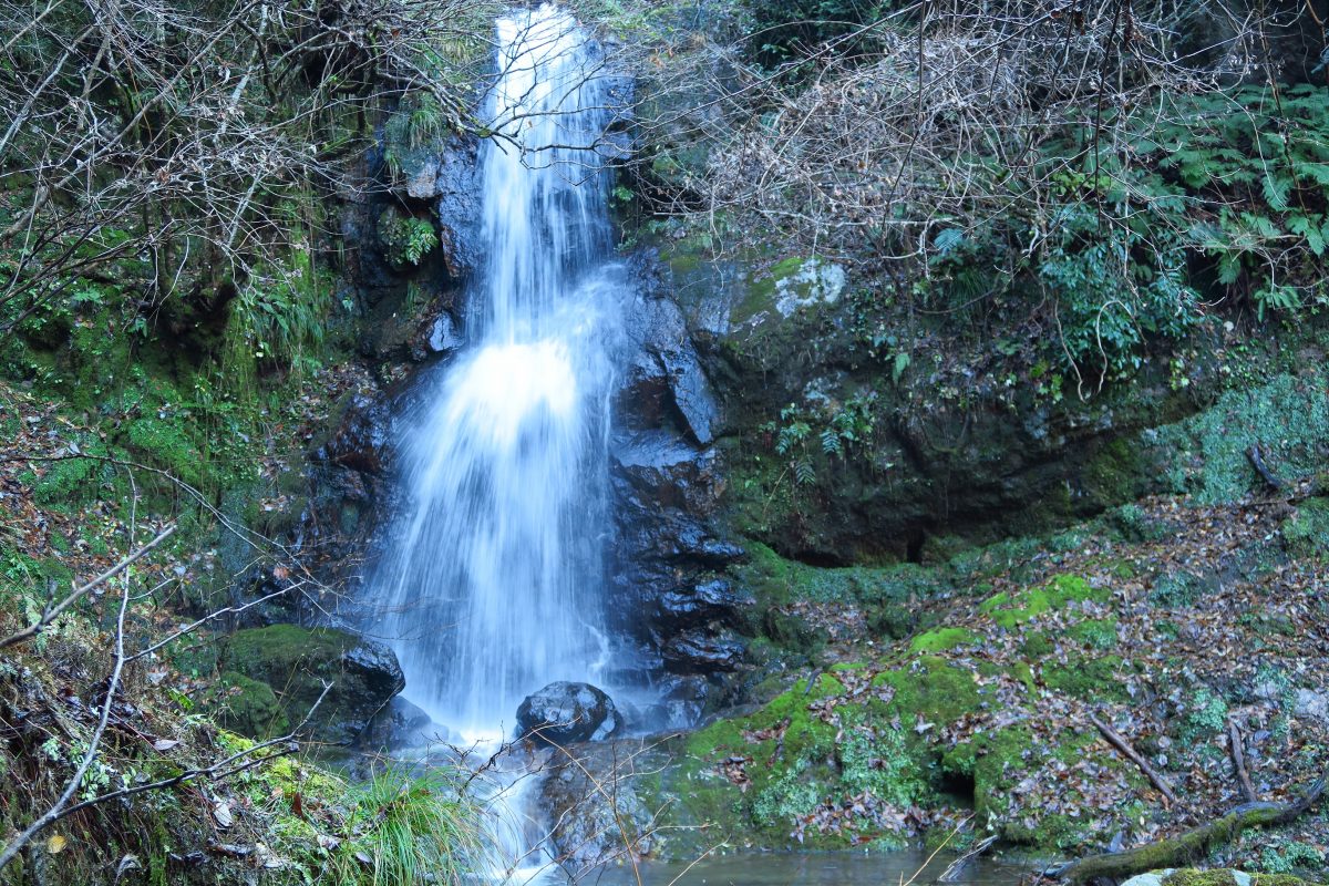 涼感 糸井渓谷 とての３滝 一ノ滝 但馬の情報発信ポータルサイト 但馬情報特急