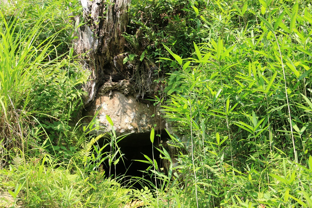 IMG_7369禁裡塚.jpg