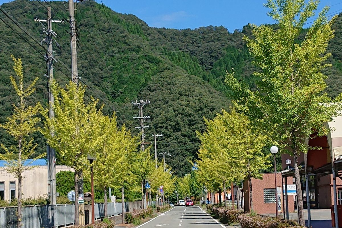21但馬紅葉だより 養父市で秋の気配を探して 但馬の情報発信ポータルサイト 但馬情報特急