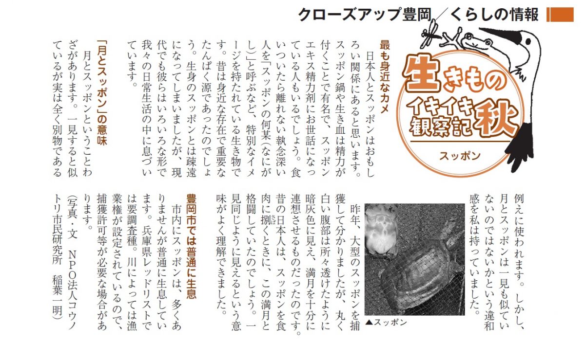 月とスッポン | 但馬の情報発信ポータルサイト「但馬情報特急」