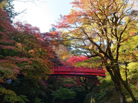 但馬の紅葉21 おすすめスポットまとめ マップあり 但馬の情報発信ポータルサイト 但馬情報特急