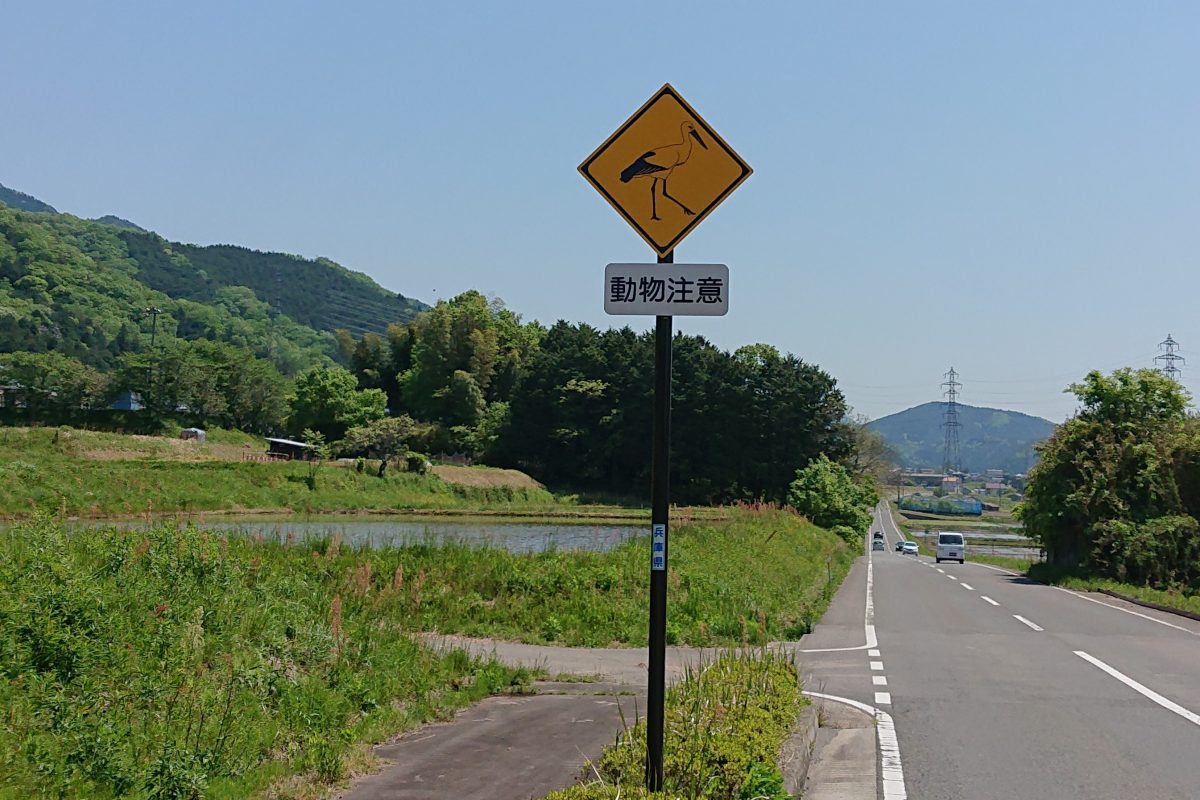 白井大町藤公園に向かう途中にコウノトリの道路標識 但馬の情報発信ポータルサイト 但馬情報特急