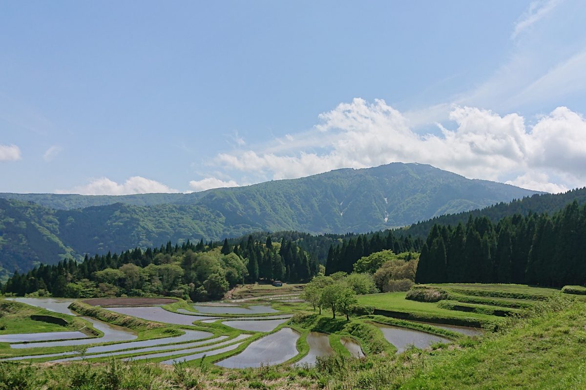 　日本原風景 人と自然がつくりだす日本の原風景「別宮の棚田」を訪ねて | 但馬の情報発信ポータルサイト「但馬情報特急」