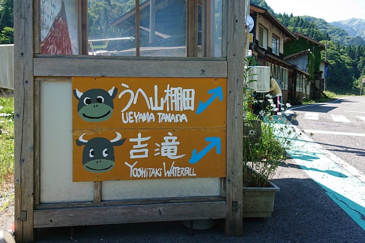 ジオパーク流散策を楽しんできました～うへ山の棚田編～ | 但馬の情報 