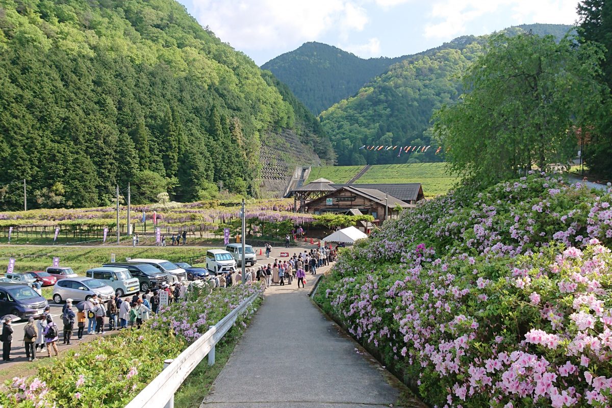 当時のメディア報道・掲載写真