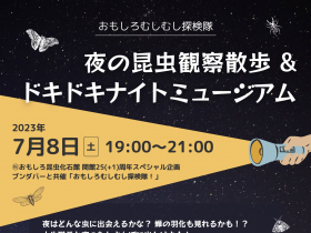 おもしろむしむし観察隊