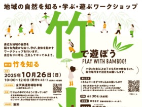 guest-1760357632-18a5-take3-2