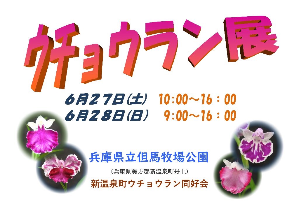 工芸作品・蝶　草花　飼育天然記念物採集地　信州/博物館・教材 ウチョウラン展 | 但馬の情報発信ポータルサイト「但馬情報特急」