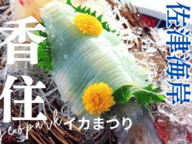 2026イカまつり-1