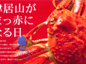kanika-1536x922-1